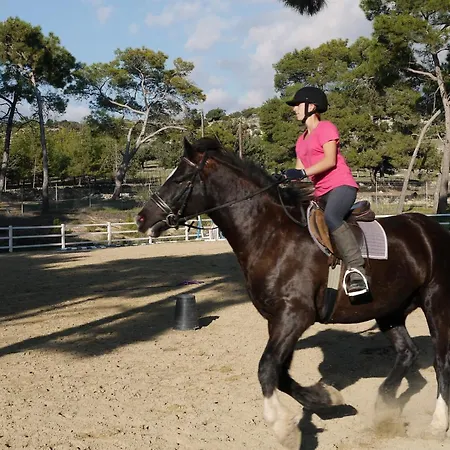 Stunning, Modern Mc11 - Ampelia, Dionysus Greens, Aphrodite Hills Daire *